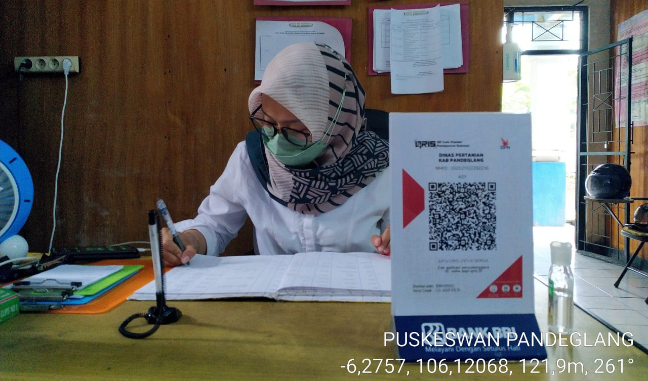PEMBAYARAN NONTUNAI. Petugas kesehatan di UPT Puskeswan Pandeglang, tengah bertugas dengan menyediakan scan barcode QRIS di meja kerjanya, Rabu (15/6/2022).(Istimewa)