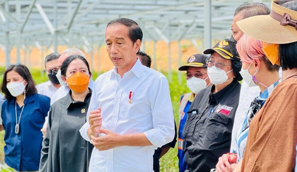 Presiden Jokowi didampingi Menteri LHK saat berada di kawasan IKN. Foto : Istimewa