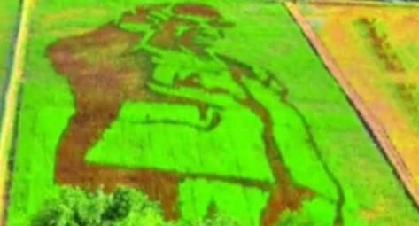 Sawah di Kabupaten Semarang karya Sidik membuat karya Wajah Bung Karno. (Ist)