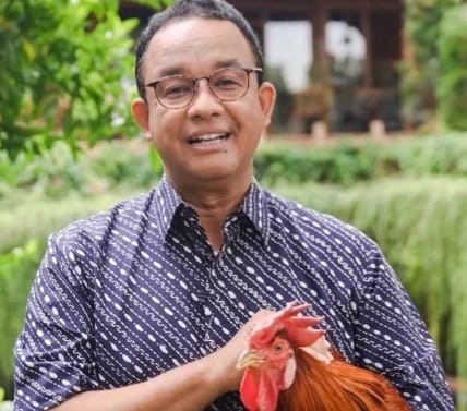 Anies Baswedan. (Ist)