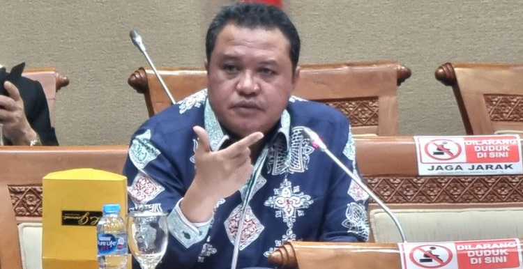 Ketua DPP Golkar Lamhot Sinaga.  Foto : Ist