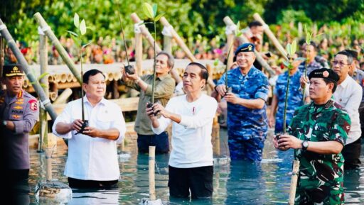 Bantah Hubungan Di Titik Terendah Presiden Jokowi saat menanam Mangrove. Foto : Setpres