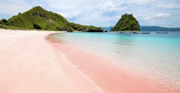 Pantai Pink di NTB. Foto : Ist