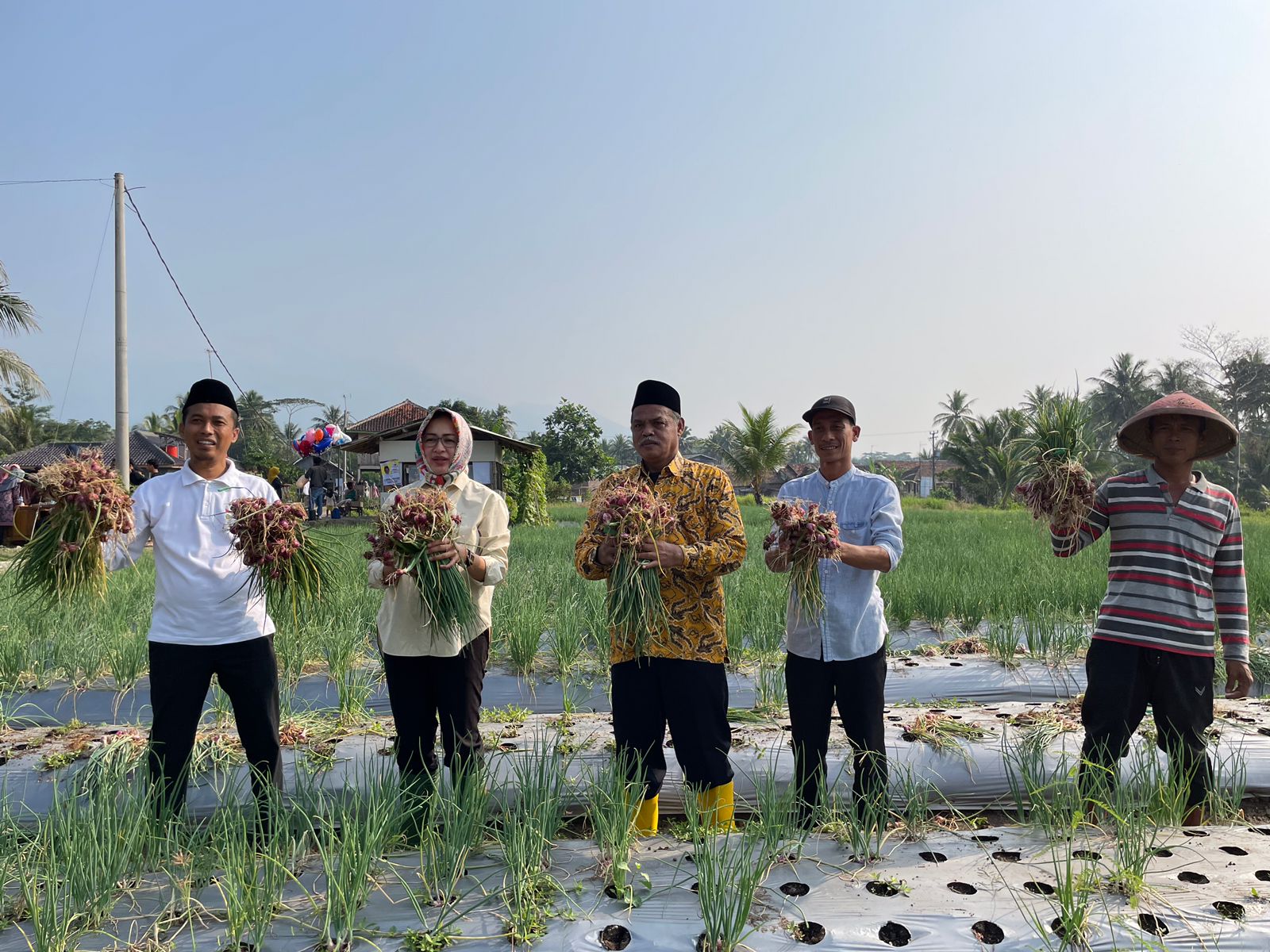 Airin Rachmi Diany panen bawang merah bersama petani di Banjar, Pandeglang, Minggu (31/7). Foto : Ist