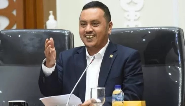 Politisi Nasdem Willy Aditya. Foto : Ist