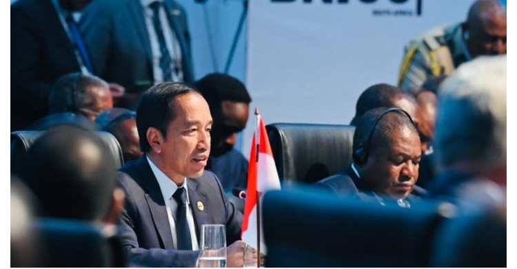 Presiden Jokowi menghadiri KTT BRICS, di Sandton Convention Centre, Johannesburg, Afrika Selatan, Kamis (24/08). Foto: Setpres