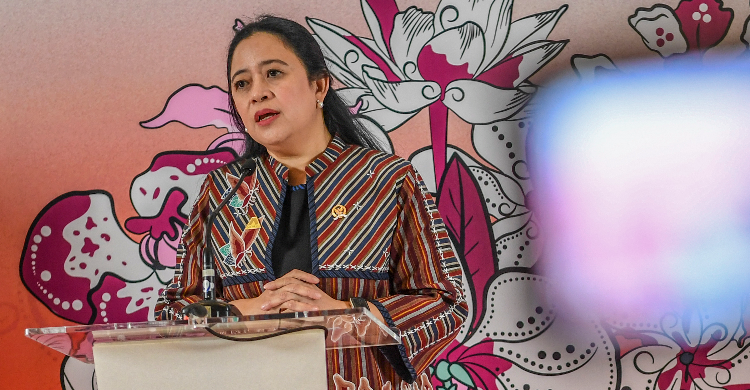 Ketua DPR Puan Maharani. Foto : Ist