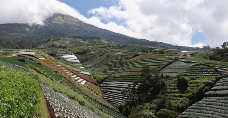 Indahnya pemandangan Desa Sukomakmur, Kabupaten Magelang. Foto : Ist