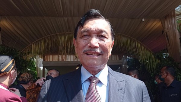 Ketua DEN Luhut Binsar Pandjaitan. Foto : Ist