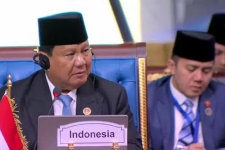 Presiden Prabowo saat tampil di KTT D-8 di Mesir. Foto : Ist