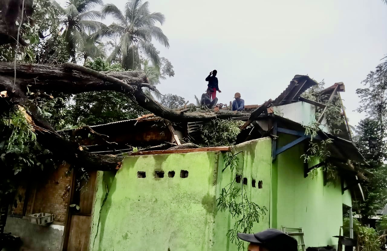 Warga bersama para pihak terkait lainnya sedang mengevakuasi pohon tumbang yang menimpa atap rumah yang diakibatkan bencana angin puting beliung, Selasa (21/1).(pal)