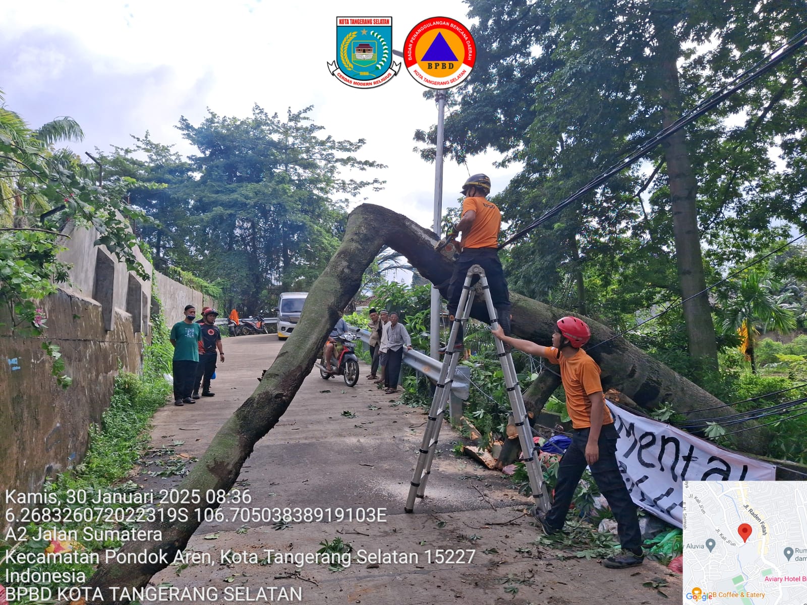 Petugas BPBD Tangsel saat mengevakuasi pohon tumbang di wilayah Pondok Aren, Kamis (30/1)