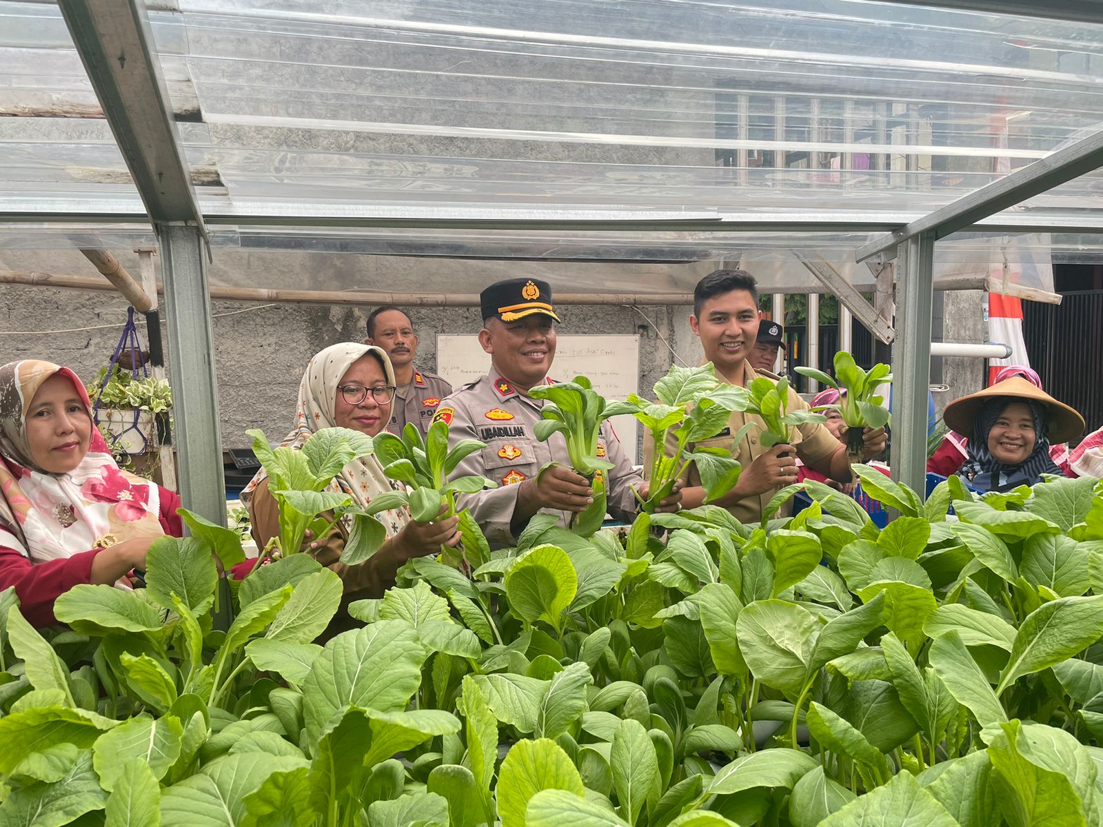 Kelompok Wanita Tani (KWT) Asri Cipadu, Kecamatan Larangan yang baru saja panen raya hasil pertanian lokal.