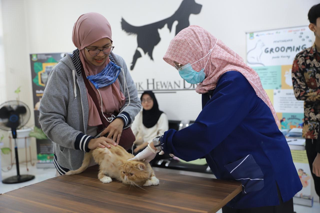 Petugas Dinas Ketahanan Pangan (DKP) Kota Tangerang (kanan) tengah menyuntik vaksin kepada seekor kucing saat layanan Pekan Steril Anabul Kita (PESTA) yang digelar secara gratis, Selasa (4/2).