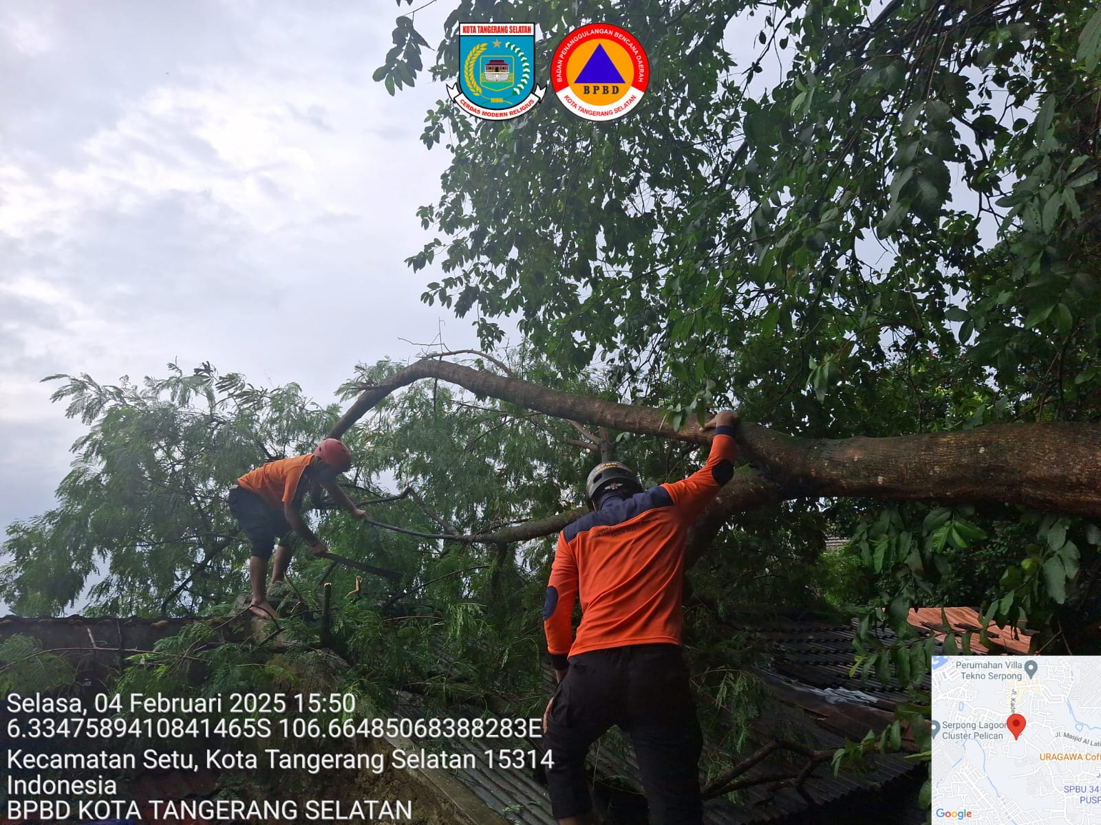 Tim BPBD Kota Tangsel saat mengevakuasi pohon tumbang yang menimpa rumah warga di Setu, Selasa (4/2).(dra)