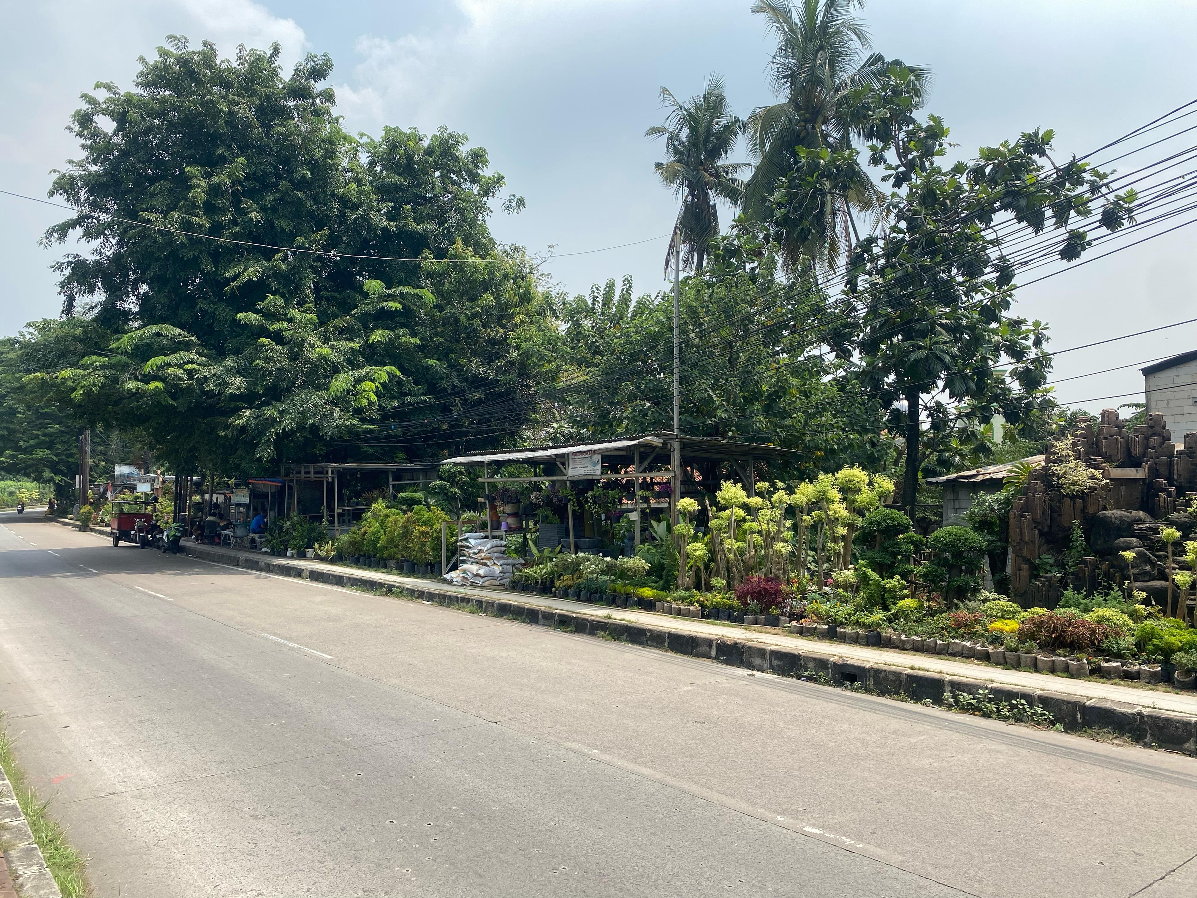 Menjelajahi Pusat Toko Tanaman di Kawasan Cikokol Foto : Trisan/TP