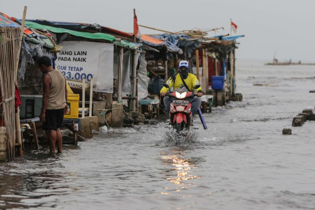 Banjir Rob Ancam Rendam Pesisir Jakarta Utara Hingga 31 Mei 2025 Foto : Ist