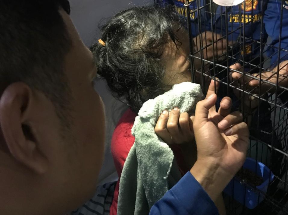 Besi Kandang Kucing Tertancap di Kelopak Mata, Warga Pondok Aren Panggil Damkar Foto : Ist