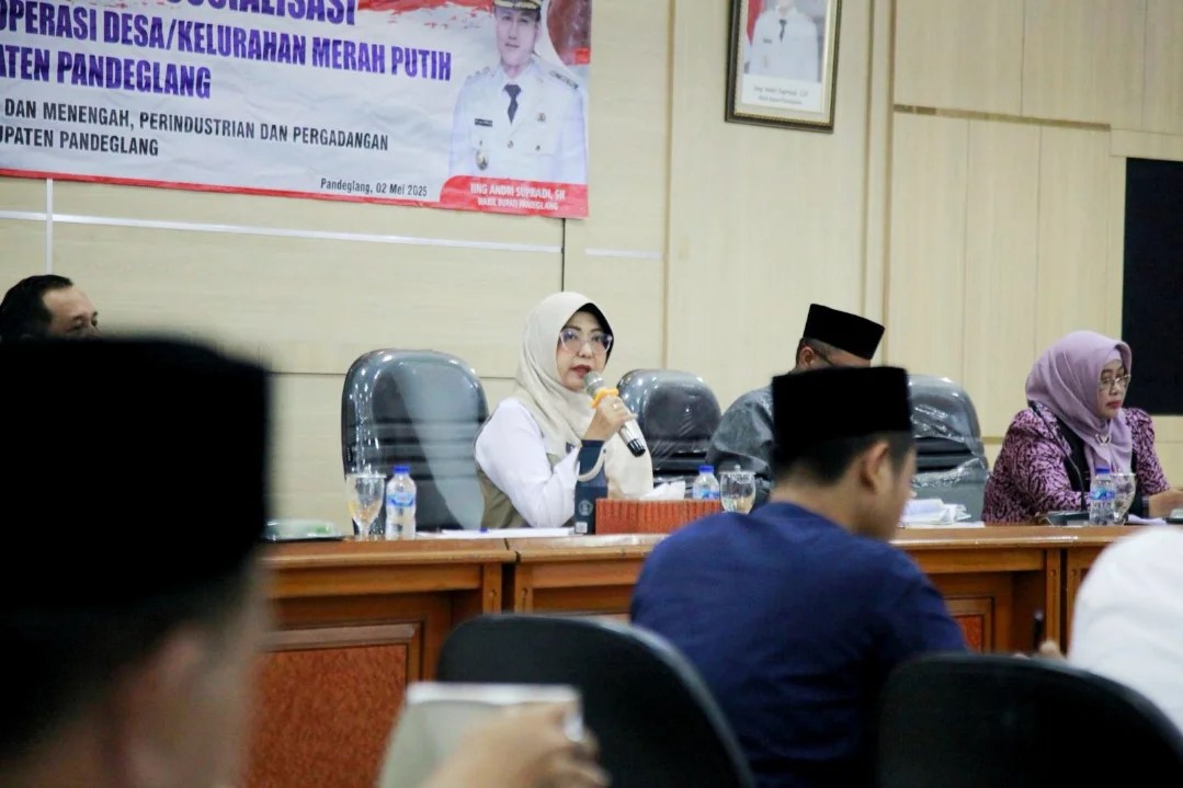 Bupati Dewi: Satgas PAD Harus Petakan Potensi Baru ARAHAN. Bupati Pandeglang Raden Dewi Setiani, sedang memberikan arahan kepada tim Satgas Optimalisasi PAD, di Oproom Setda Pandeglang, Jumat (2/5). Foto : Ist