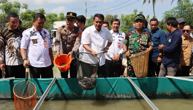 Desa Gandaria Dijadikan Kampung Budidaya Perikanan Bupati Tangerang, Moch Maesyal Rasyid turut menyaksikan panen simbolis ikan lele dari kolam budidaya milik warga di Desa Gandaria, Kecamatan Mekarbaru, Sabtu (17/5).
