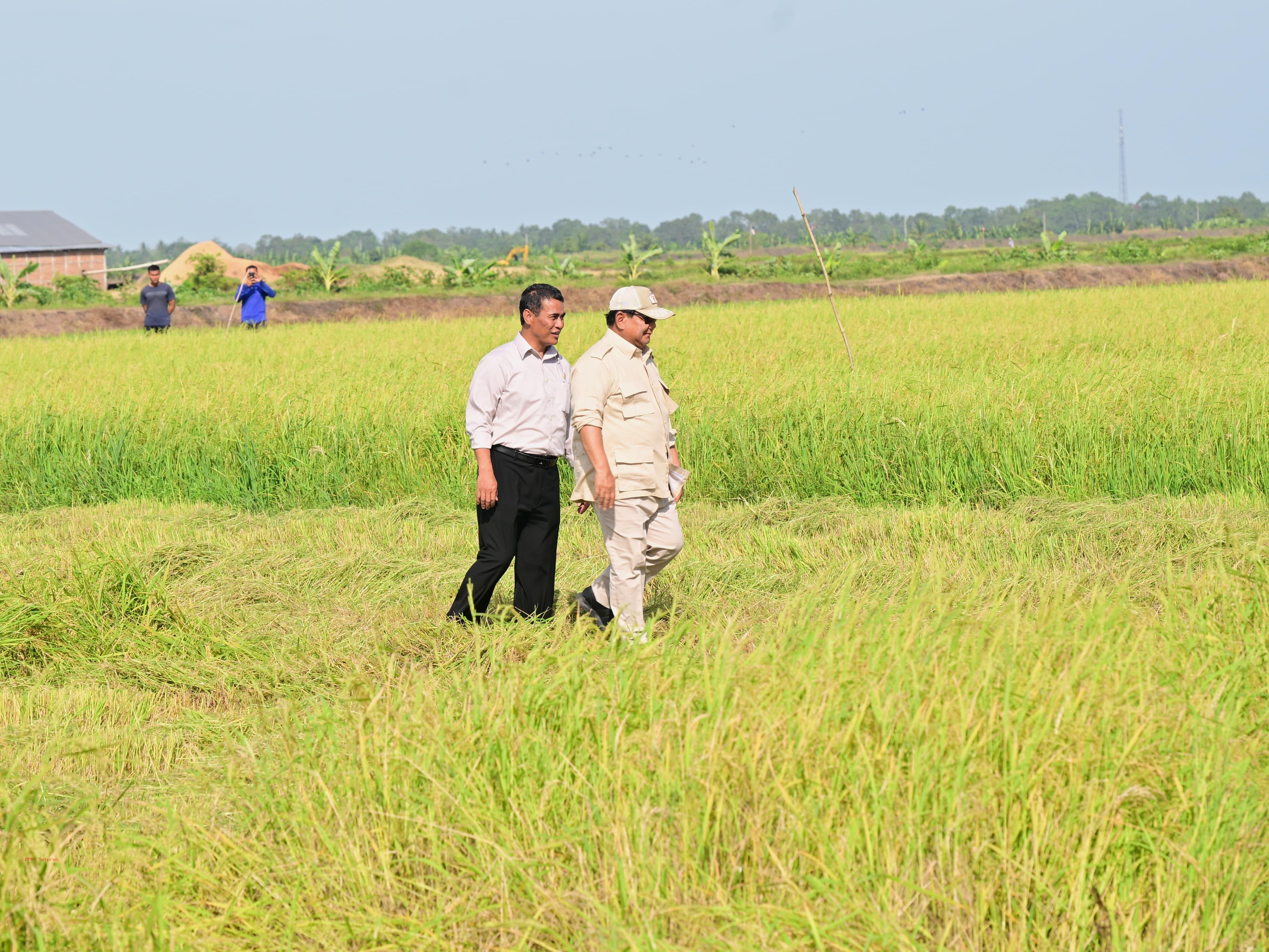 Presiden Prabowo saat kunker di Marauke. Foto : Ist