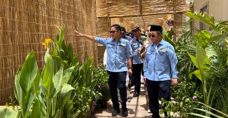 Suasana Baru Tenda Jemaah Haji di Mina: Ada Kanopi Bambu, Taman Hijau & Gemericik Air Foto : Is