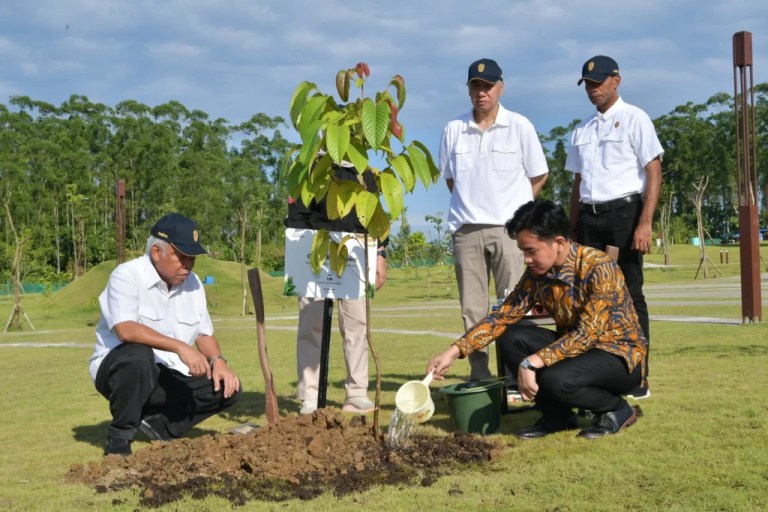 Wapres Gibran bersama Ketua Otorita IKN Basuki Hadimuldjono saat menanam pohon Ulin di IKN. Foto : Istn