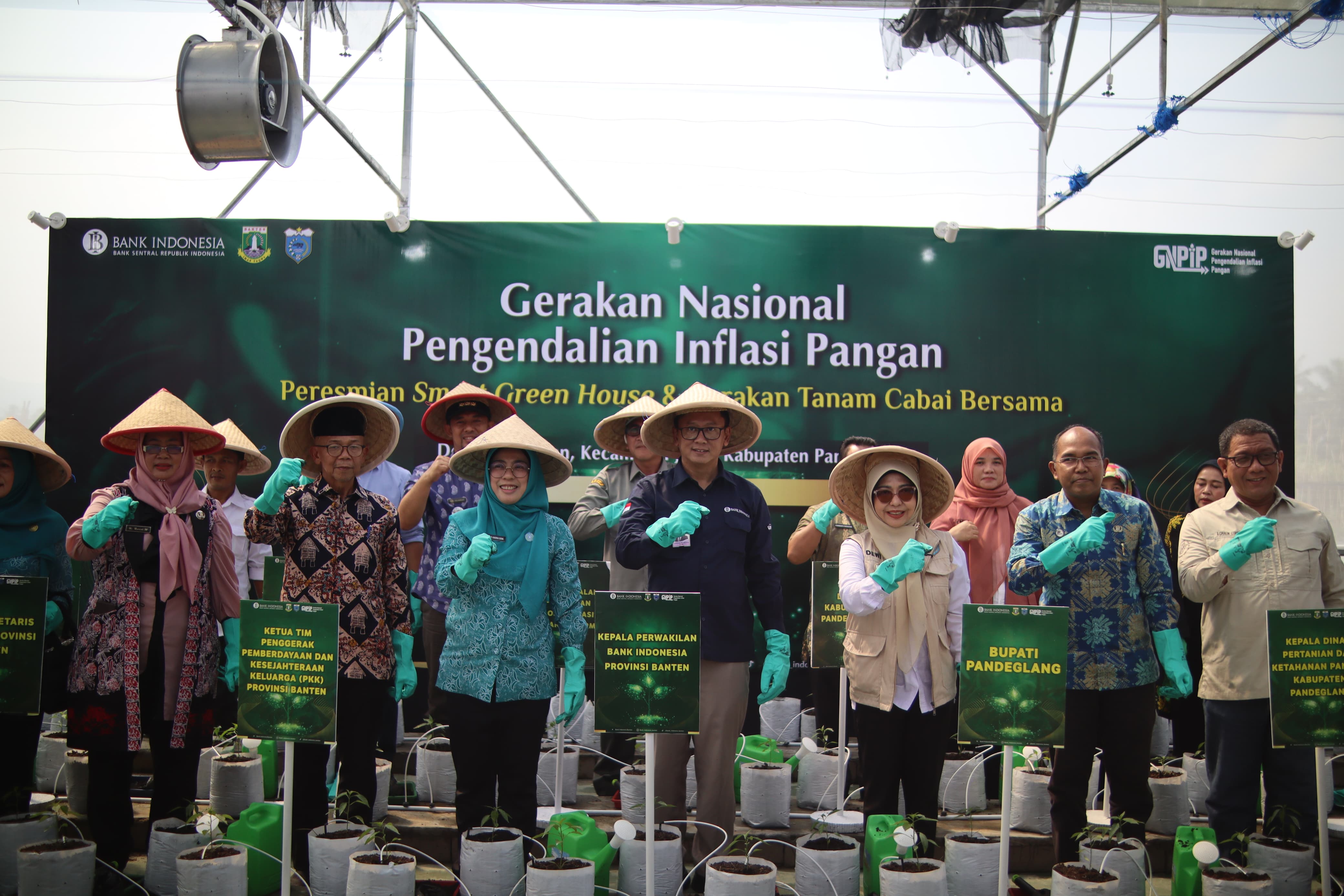 Bank Indonesia Bangun Green House di Jiput Pandeglang Kantor Perwakilan Bank Indonesia Provinsi Banten menyelenggarakan peresmian Smart Green House dan Gerakan Tanam Cabai, Kamis (26/6). (Ist)