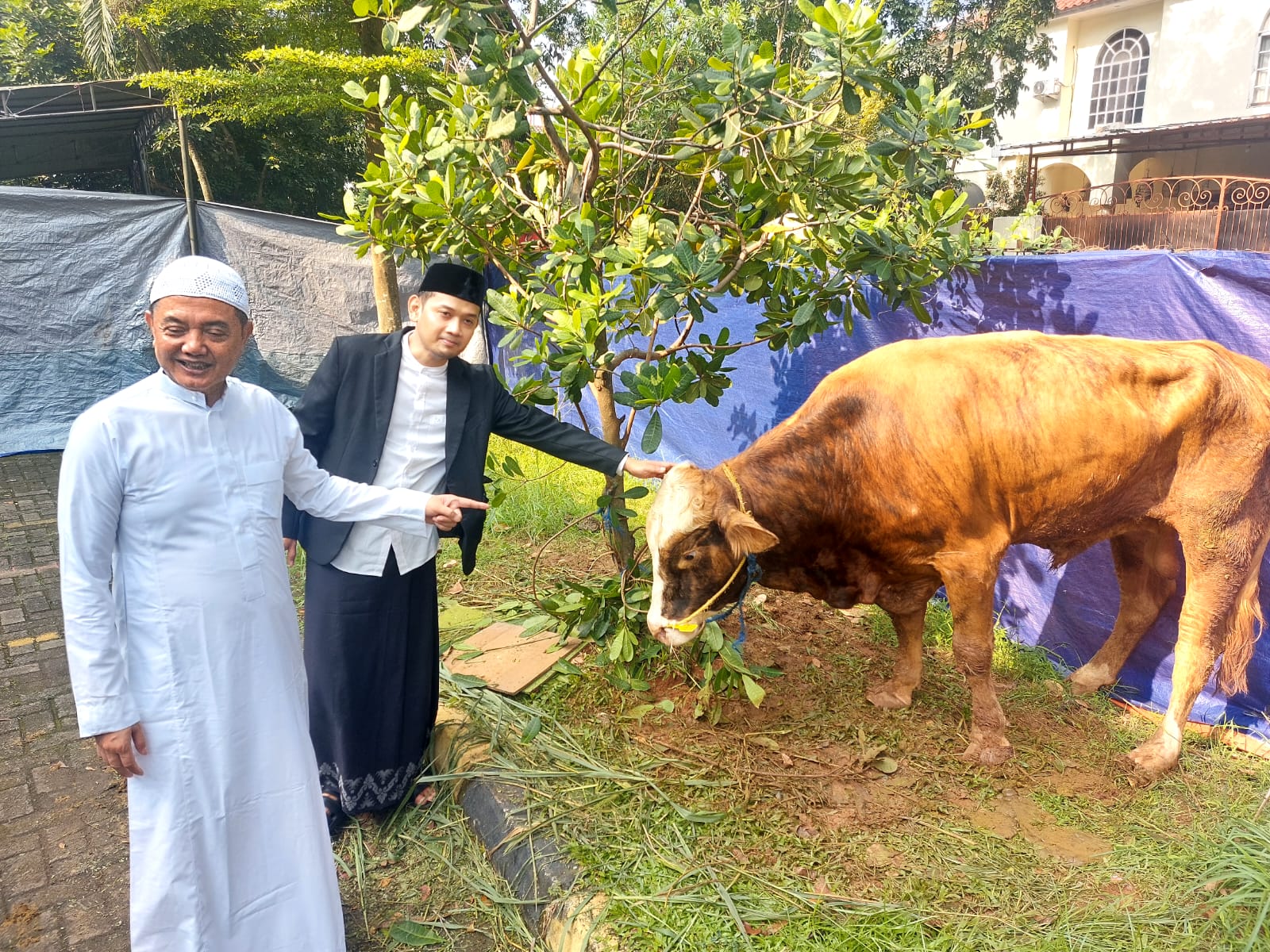 Edukasi Sejak Dini, Al-Azhar BSD Kurbankan Ratusan Hewan Dari Hasil Tabungan Siswa Sekolah Islam Al-Azhar BSD mengkurbankan sebanyak 167 ekor kambing dan 15 sapi, Jumat (6/6). (tangselpos.id/rmn)