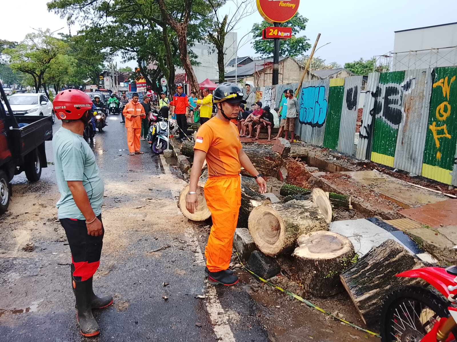 Hujan Disertai Angin Kencang Sebabkan Pohon Besar Tumbang, Jalan Ciater Raya Sempat Terputus Pohon berukuran besar yang berada di Jalan Ciater Raya, Serpong, tumbang, Selasa (10/6). (Ist)