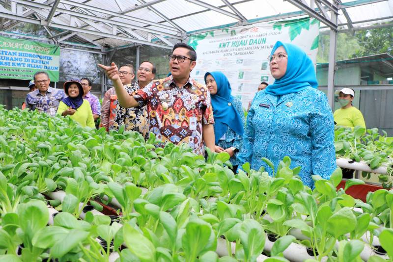 Kelurahan Alam Jaya Siap Ukir Prestasi Wakil Wali Kota Tangerang, Maryono, terlihat sedang memberikan penjelasan kepada tim penilai dari Pemerintah Provinsi (Pemprov) Banten yang tengah melakukan klarifikasi lapangan di Kelurahan Alam Jaya, Kecamatan Jatiuwung, dalam Lomba Kelurahan Tingkat Provinsi Banten Tahun 2025.