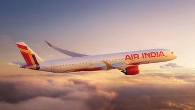 Ramesh Viswashkumar Satu-satunya Penumpang Yang Lolos Dari Kecelakaan Air India Ilustrasi pesawat Air India. Foto : Ist