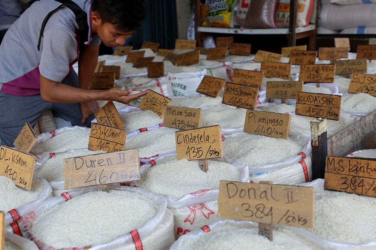 Beraspun Kini Juga Dioplos Ilustrasi. Foto : Ist