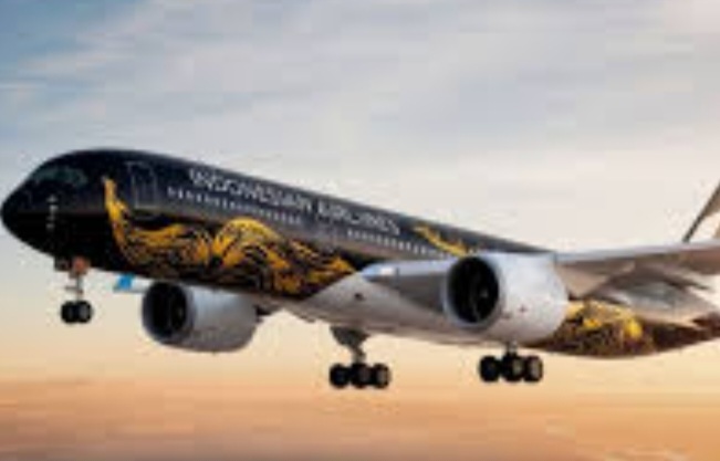 Persyaratan Belum Lengkap, Indonesia Airlines Belum Bisa Terbang Pesawat Indonesia Airlines. Foto : Ist