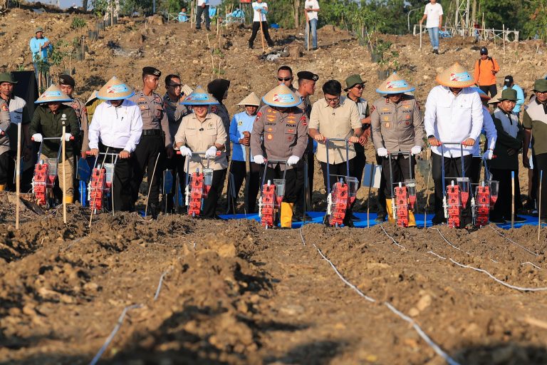 Polri Lakukan Penanaman Jagung Di Grobogan, Tunjukkan Komitmen Dukung Ketahanan Pangan Kapolri Jenderal Listyo Sigit saat melakukan penanaman jagung di Grogokan, Jawa Tengah. Foto ; Ist