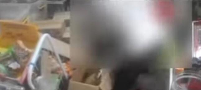 Terungkap! Alasan Pria Aniaya Wanita di Bogor Ternyata Masalah Bertetangga Foto : Ist