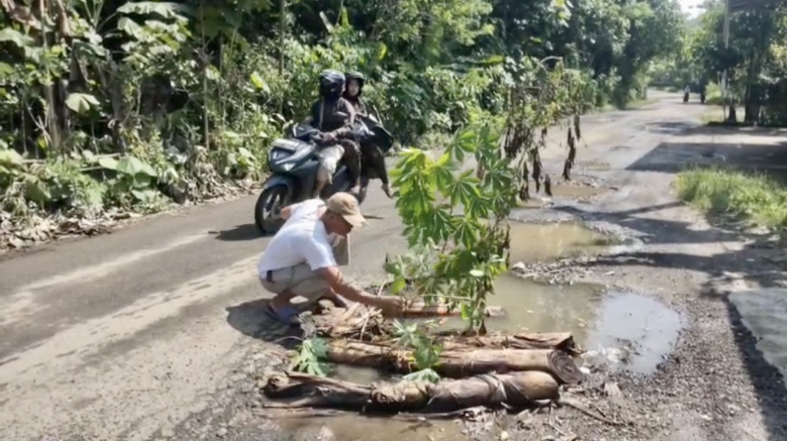 Warga Tanam Pohon Singkong Di Jalan Rusak Warga Kampung Sabagi, Desa Pasir Tanjung, Kecamatan Rangkasbitung, Kabupaten Lebak, sedang menanam pohon singkong dan batang pisang di jalan Sabagi-Muncang yang rusak parah, Selasa (8/7).
