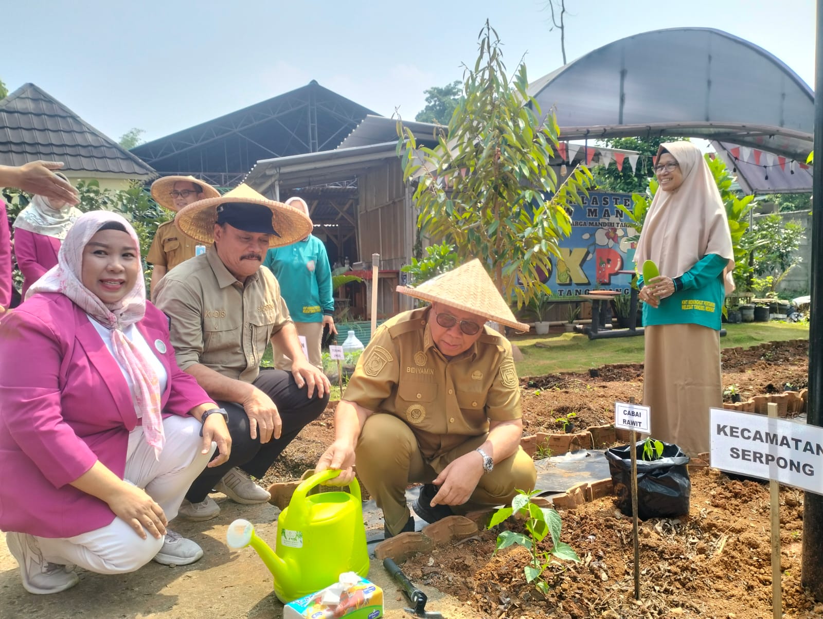 4000 Bibit Cabai dan Terong di Tanam Serentak di 7 Kecamatan Wali Kota Tangsel Benyamin menanam cabai dan terong di Kawasan Pertanian Terpadu (KPT) bersama para sekcam dan Kelompok Wanita Tani (KWT). Foto : Ist