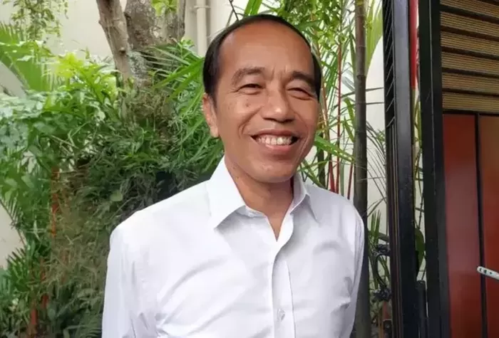 Mantan Presiden ke 7 Joko Widodo. Foto : Ist