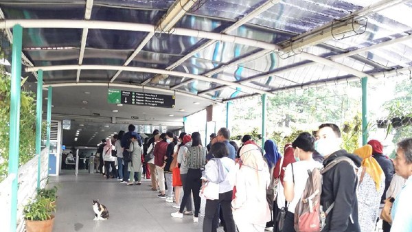 Operasional Kembali Normal, TransJakarta Berlakukan Kembali Tarif Normal Rp 3500 Antrian penumpang TransJakarta di Halte Ragunan. Foto : Ist