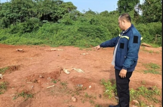 Tempat ditemukannya tengkorak dan kain kafan di tanah calon Perumahan di Desa Sindang Panon. Foto : Ist