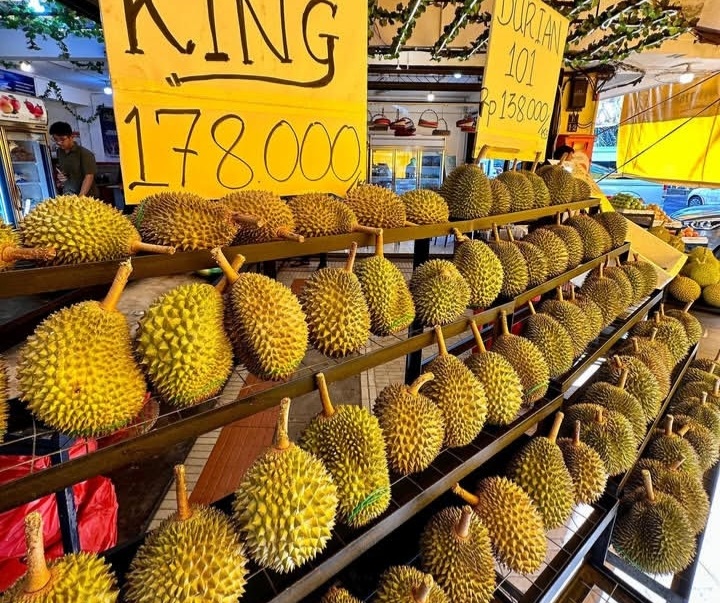 Durian Ilegal Asal Malaysia Masuk Lewat Batam, Petani Lokal Dirugikan Durian Musang King asal Malaysia. Foto : IG