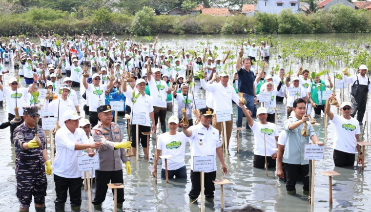 Gibran Tanam Mangrove di Tangerang, Serukan Perlindungan Ekosistem Pesisir Wapres Gibran (no 1 depan) saat menanam Mangrove di Taman Mangrove Ketapang, Kecamatan Mauk, Kabupaten Tangerang. Foto : Ist