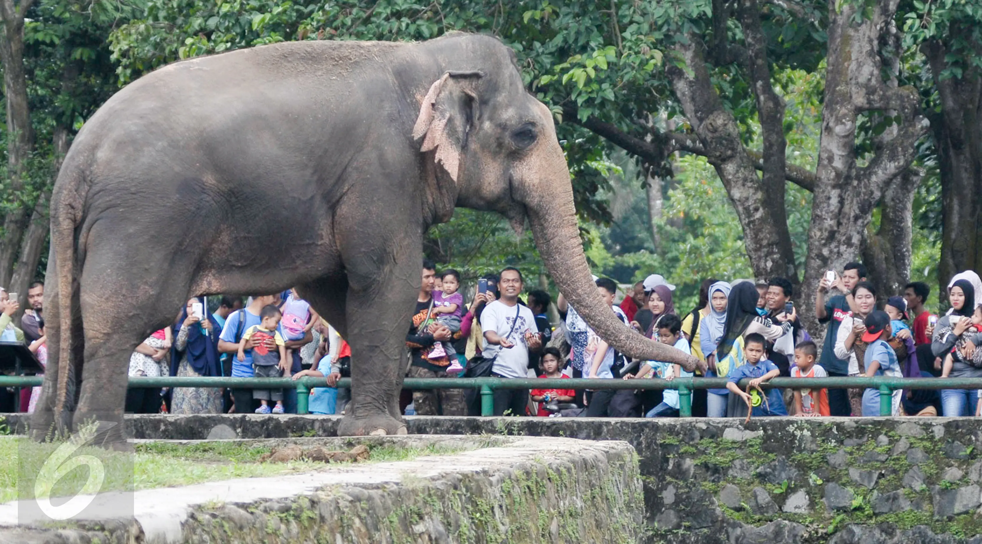 Pengunjung Kebon Binatang Ragunan. Foto : Ist