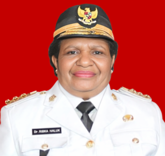 Ribka Haluk akan menjabat sebagai Komite Eksekutif Percepatan Pembangunan Papua. Foto : Ist