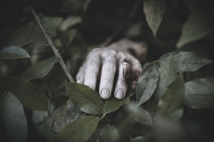 Ilustrasi. Foto : Ist