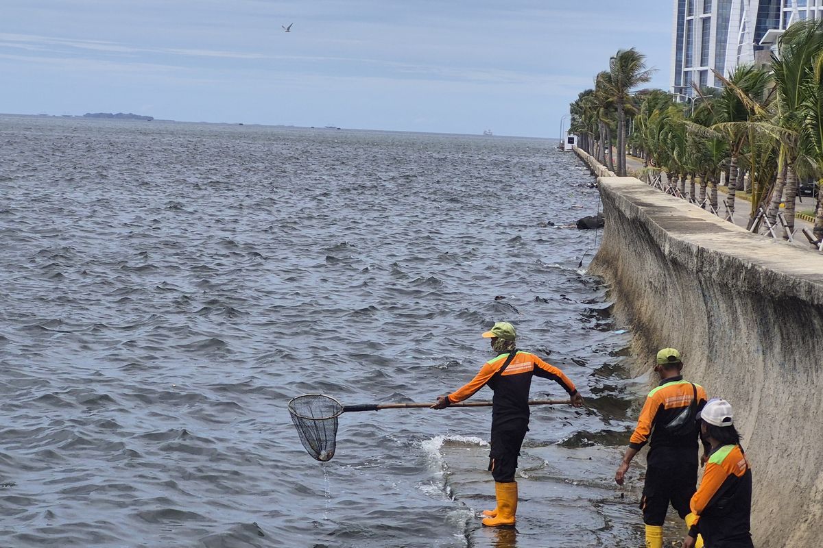 Tanggul laut Pantai Mutiara. Foto : Ist