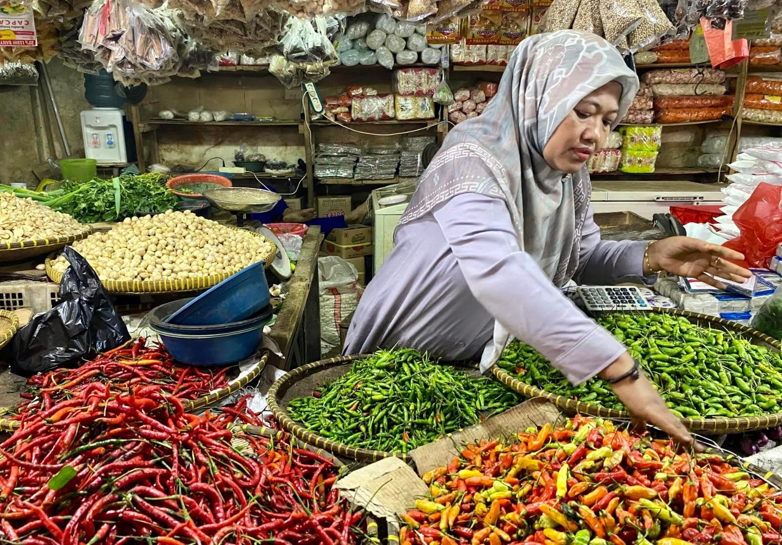 Saat kondisi sedang sepi pembeli, salah seorang pedagang cabai di Pasar Rangkasbitung, Kabupaten Lebak, meluangkan waktu merapikan barang dagangannya, beberapa waktu lalu. Foto : Ist