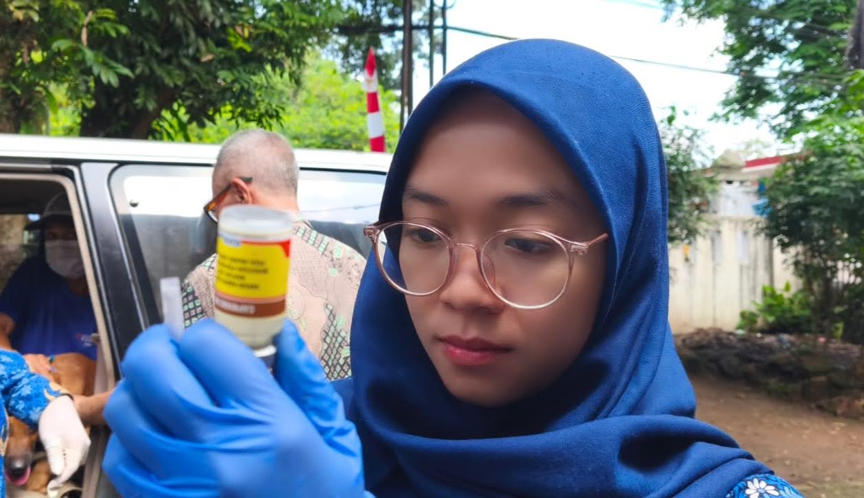 Petugas Puskeswan Pandeglang tengah melakukan persiapan pemeriksaan kesehatan hewan.(Istimewa)