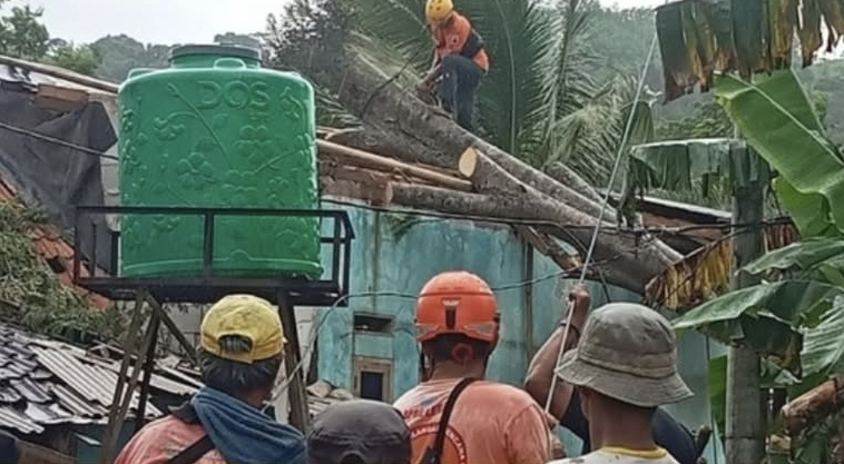 Personel TRC BPBD Kabupaten Lebak sedang melakukan evakuasi pohon tumbang yang menghantam rumah warga Kampung Ciboleger Barat, Desa Bojongmenteng, Kecamatan Leuwidamar, Kabupaten Lebak, Rabu (17/12).
